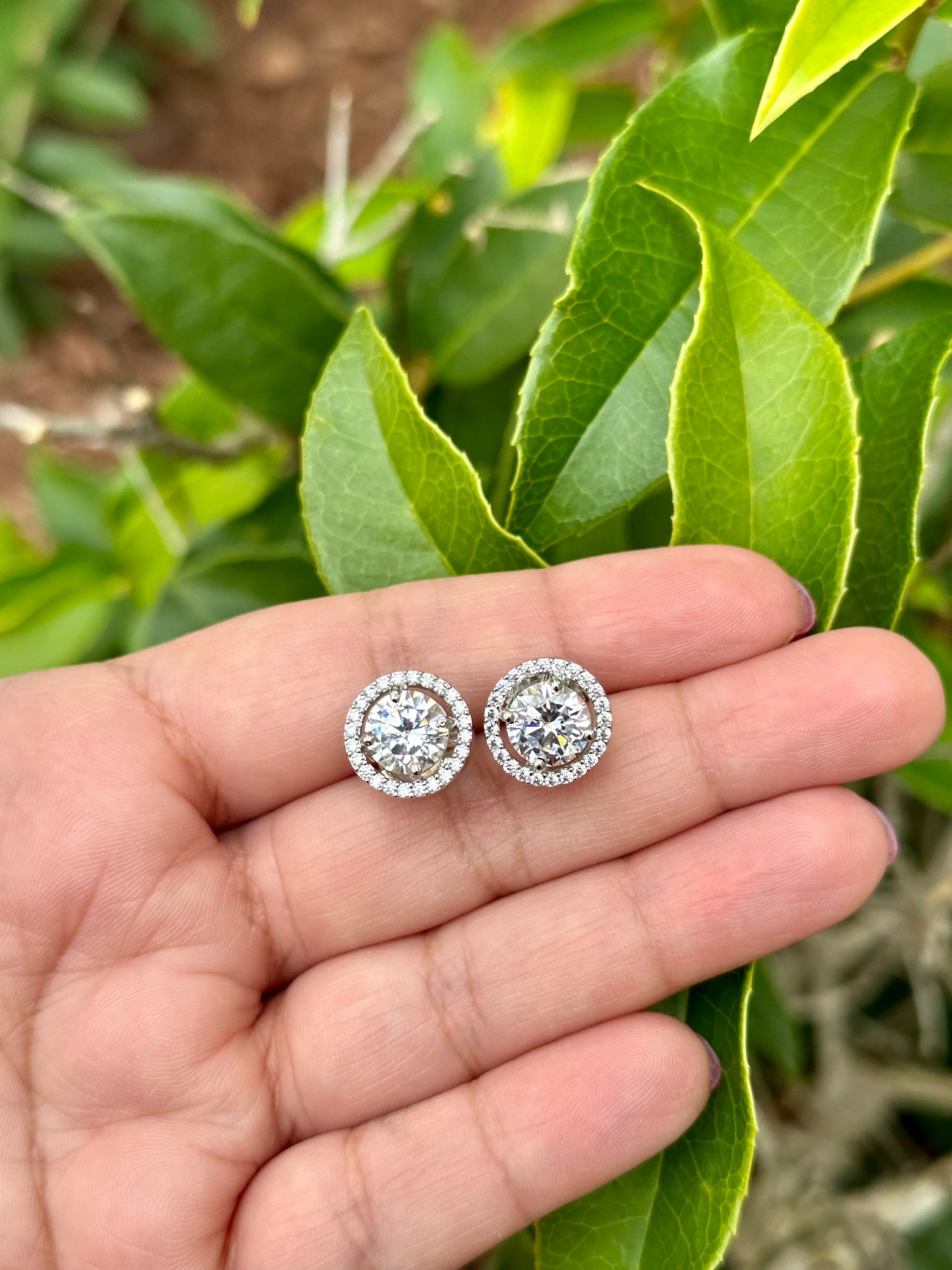 Solitaire Halo Stud Earrings